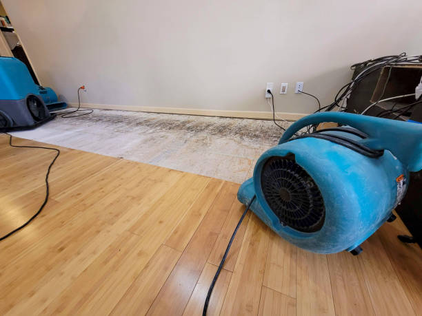 Professional Structural Drying technician working in San Miguel, CA